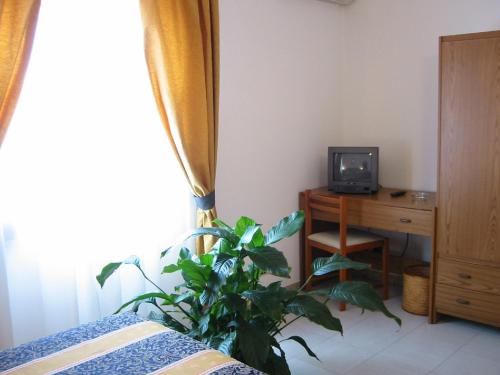 una camera da letto con una pianta di fronte a una TV di Hotel Su Giudeu a Chia