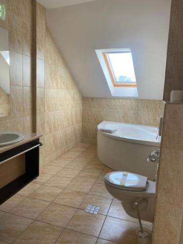 a bathroom with a toilet and a sink at Hotel Edelweiss in Mediaş