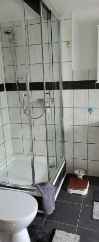 a bathroom with a shower and a toilet at UnterwegsZuHause in Solingen