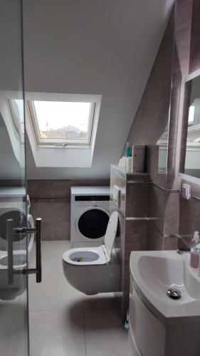 een badkamer met een toilet en een wastafel bij Deniro Apartment in Požega