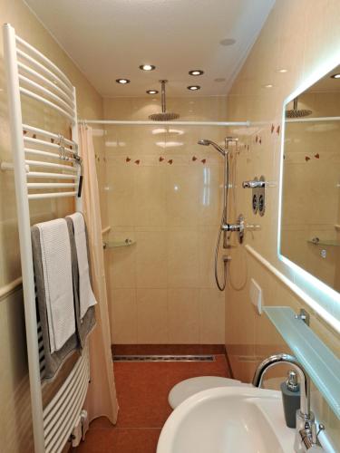 ein Bad mit einer Dusche, einem Waschbecken und einem WC in der Unterkunft Froschkönig mit Teichblick in Trendelburg