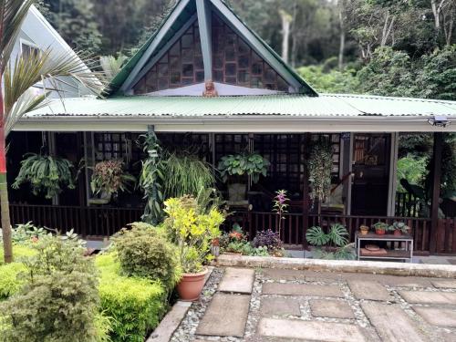 ein Haus mit vielen Pflanzen im Hof in der Unterkunft Casas Guaney, full furnished studios! in Manuel Antonio
