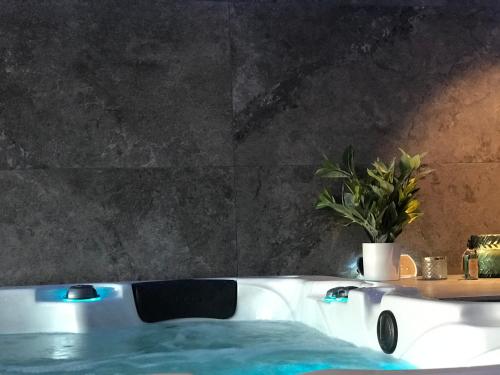 La salle de bains est pourvue d'une baignoire avec une plante en pot. dans l'établissement L’ODYSSÉE SPA, à Seclin