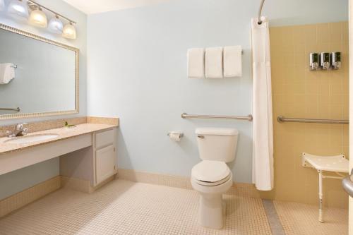 a bathroom with a toilet and a sink and a mirror at Sonesta ES Suites Burlington in Burlington