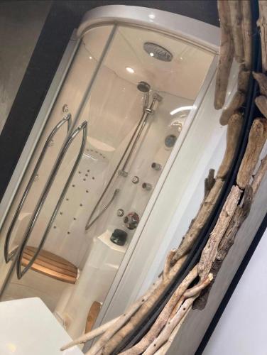 a glass room with a shower in a room at Gite Au champ du bouillon proche de Pairi Daiza wellness en option in Chièvres