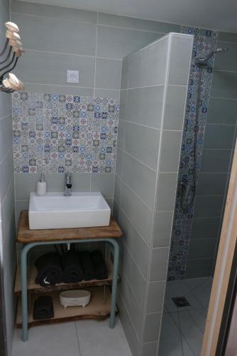 une salle de bain avec un lavabo et une douche dans l'établissement Au coeur des landes, à Carneville
