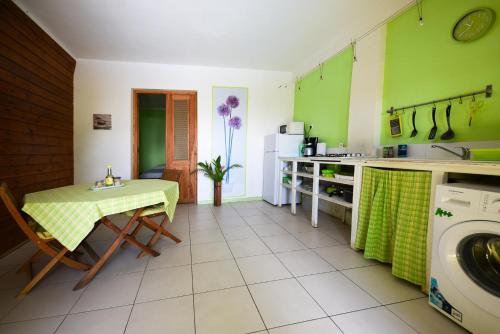 a kitchen with green walls and a table and a washing machine at Appartement charmant à Pointe-Noire, vue mer, 51 m², piscine in Pointe-Noire