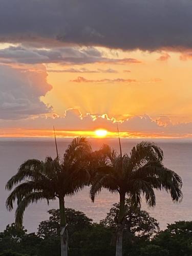 two palm trees with the sunset in the background at Appartement charmant à Pointe-Noire, vue mer, 51 m², piscine in Pointe-Noire