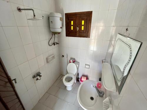 Un baño de Oasis Fighting Kangaroo