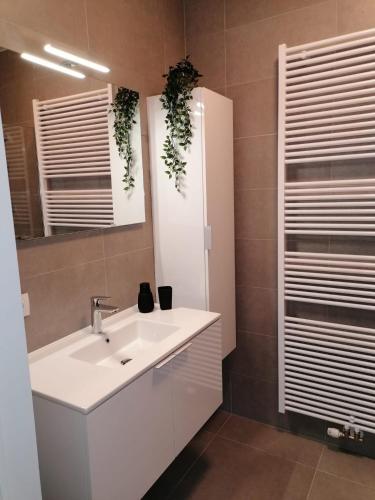 a bathroom with a white sink and a mirror at Bartine - modern and spacious flat near the sea, free parking space in Ostend