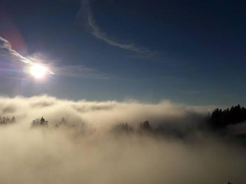 a view of the sun rising above a field of fog at Großzügige Ferienwohnung am Skigebiet Bödele mit Rheintalblick in Dornbirn