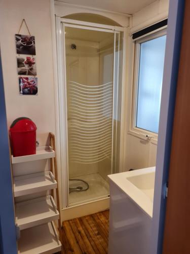 a bathroom with a shower and a sink at Mobilhome 6personnes camping oasis village 5 etoiles in Puget-sur-Argens