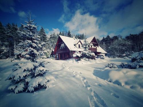 une maison recouverte de neige avec des empreintes de pied dans la neige dans l'établissement Cottage: AŽ PO UŠI („Head over heels“), à Sloup
