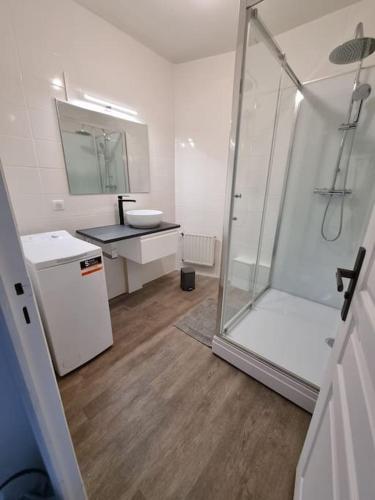 une salle de bain avec douche et lavabo dans l'établissement Appartement Jungle- hypercentre -Charleville, à Charleville-Mézières