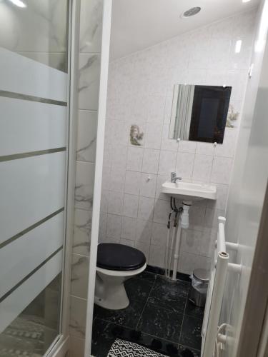 een kleine badkamer met een toilet en een wastafel bij Studio entièrement équipé avec véranda commune in Neuilly-sur-Marne