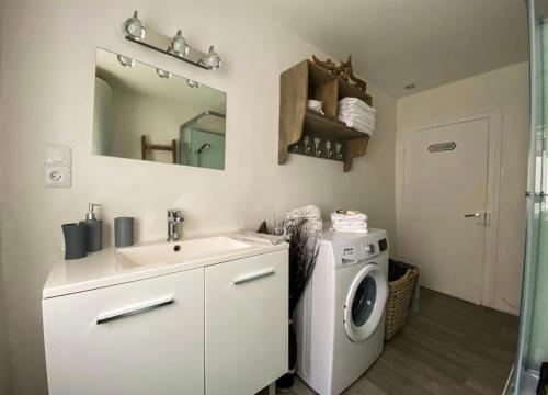 un bagno con lavandino e lavatrice di La Maison Du Bois Flotté a Boulogne-sur-Mer