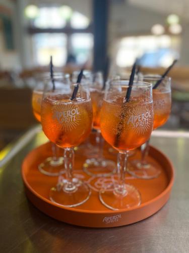 a tray with a group of wine glasses on a counter at Pension & Restaurant Krakonoš in Harrachov