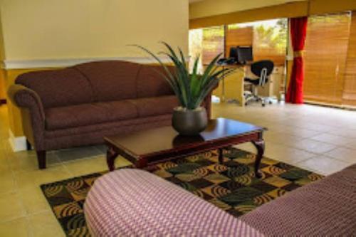 ein Wohnzimmer mit einem Sofa und einem Tisch mit einer Pflanze darauf in der Unterkunft Ft Lauderdale Beach resort in Fort Lauderdale