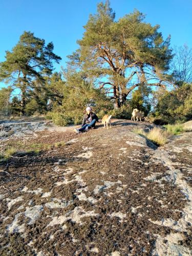 Natur och hav – Photos 3