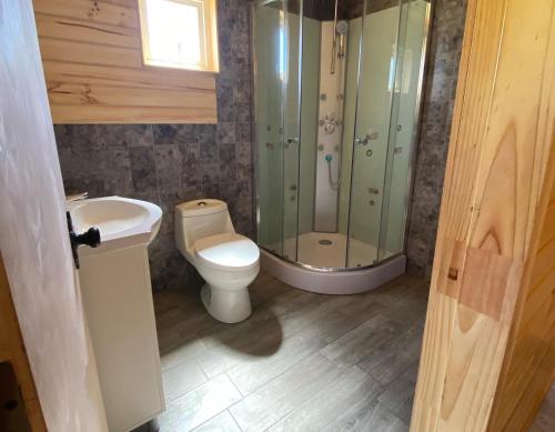 a bathroom with a toilet and a shower and a sink at Cabaña visión in Puerto Montt
