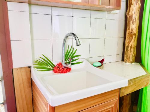 a kitchen sink with a pineapple on it at Apaula Heights Lounge in Apia