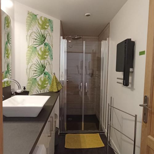 une salle de bain avec un lavabo et une douche dans l'établissement L'Albizia Gîte Climatisé St Maurice, à Saint-Maurice-en-Rivière