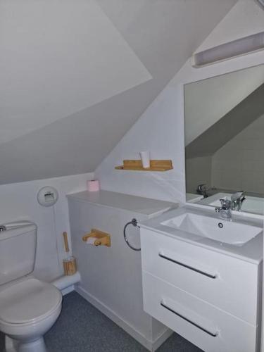 une salle de bain blanche avec des toilettes et un lavabo dans l'établissement Saint François Longchamps Loc à la Montagne avec piscine été hiver vg23, à Saint-François-Longchamp