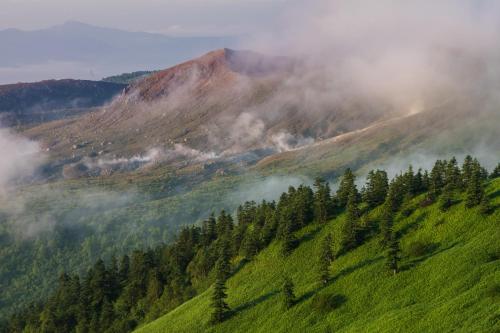 a foggy mountain with trees on a green hill at Shiga Kogen Olympic Hotel in Yamanouchi