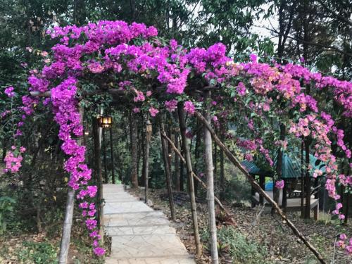 an arch covered in purple flowers and a walkway at Mae Chan Treehouse with swimming pool in Mae Chan