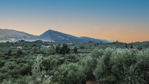 Galería fotográfica de Odysseas Studios en Lithakia