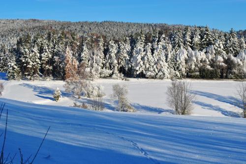 a snow covered field with trees in the background at Ferienwohnung Kappauf / Petrik in Friedenfels