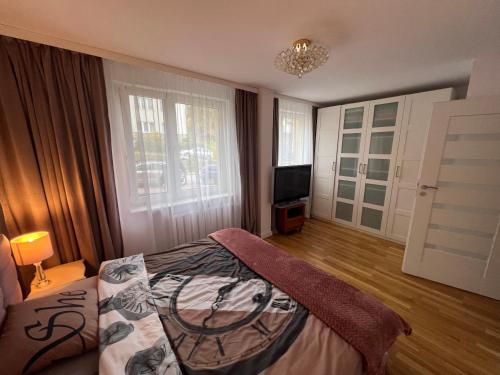 1 dormitorio con 1 cama y TV en Apartament Kościuszki 1 M15, en Krynica-Zdrój