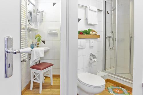 a bathroom with a toilet and a shower at Rhein Hotel Bacharach in Bacharach