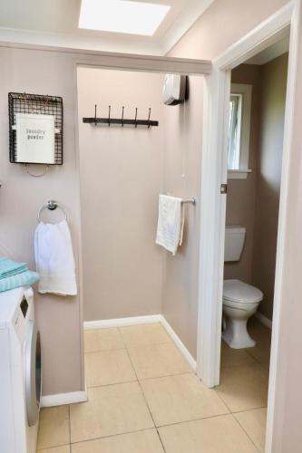 a bathroom with a toilet and a sink at Dragonflycottagebnb in Grovetown