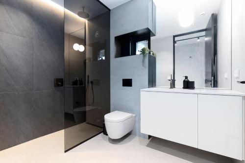 a bathroom with a toilet and a sink and a shower at Blue Viking Apartments Reykjavik in Reykjavík