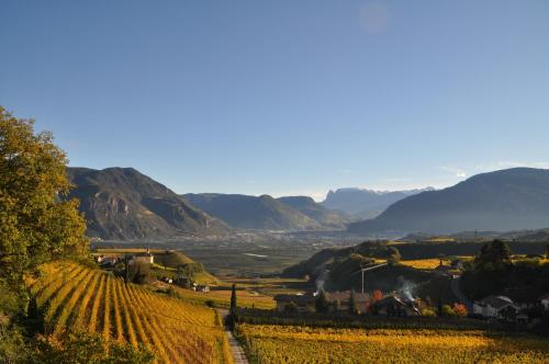 a vineyard in a valley with mountains in the background at Firmelein in Appiano sulla Strada del Vino