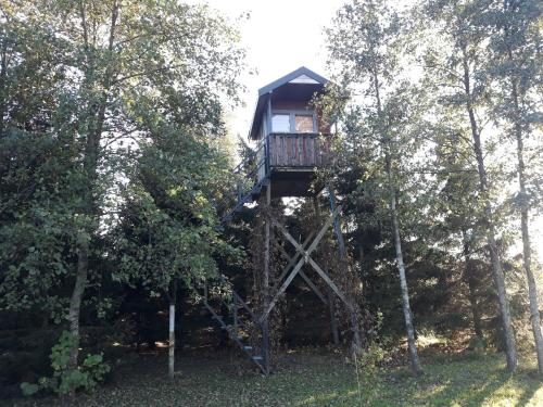 Gambar di galeri bagi Pucówka na skraju Puszczy Białowieskiej di Hajnówka