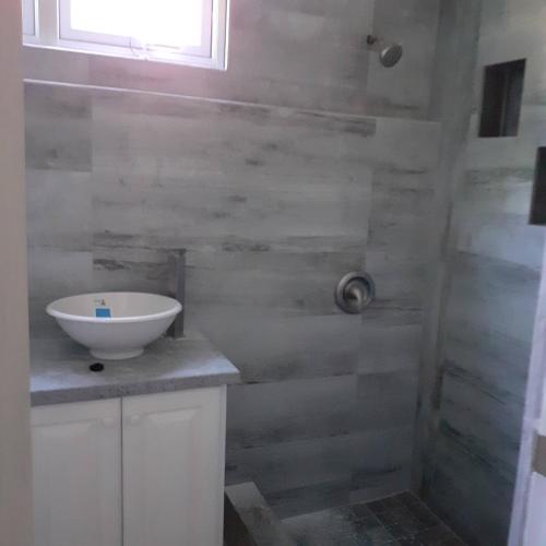 a bathroom with a sink and a shower at Travellers Villa in Roseau