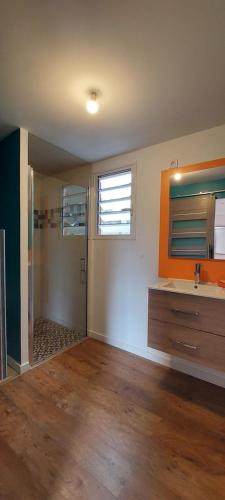 an empty bathroom with a sink and a shower at Chalet les Azalées in Le Tampon