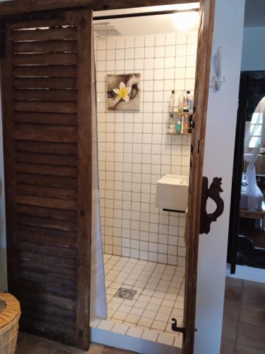 a bathroom with a shower and a sink at chez Karine in Ceyzérieu