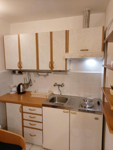 Η κουζίνα ή μικρή κουζίνα στο Studio apartman