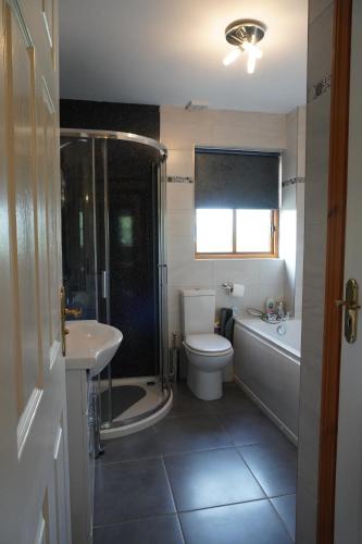uma casa de banho com um WC, um chuveiro e um lavatório. em VIP@TheMeadows em Portadown