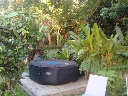 a hot tub in a garden with plants at La case o'gecko974 in Saint-Joseph