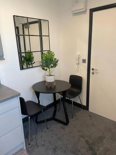 een tafel met twee stoelen en een potplant erop bij Studio Apartment Harlow in Potter Street