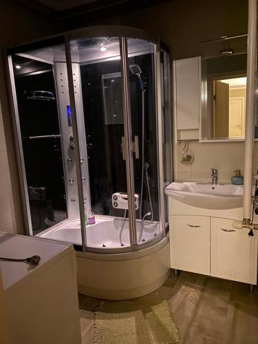 a bathroom with a shower and a sink at ISMAIL LUX 2 Rooms apartment CENTRE CHISINAU in Chişinău