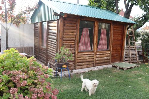 a dog standing in front of a wooden cabin at Frile Apartments in Nikšić