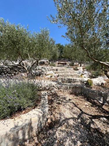 Φυσικό τοπίο κοντά σε αυτή η βίλα