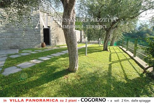 Villa tra gli ulivi - bellissima vista panoramica