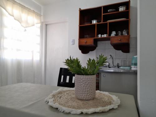 a kitchen with a table with a plant in a vase at CELESTINA in Cordoba
