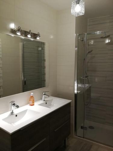 une salle de bain avec un lavabo et une douche avec un miroir dans l'établissement Appartement T4 cosy et familial en bord de pistes, à Puy-Saint-Pierre
